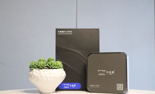 高颜值为何成为电子产品的制胜利器 以“小芯机”为例